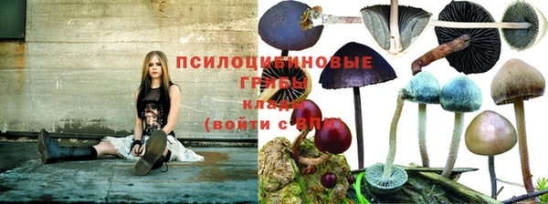 экстази Абаза
