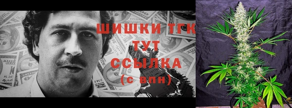 молекула духа Протвино