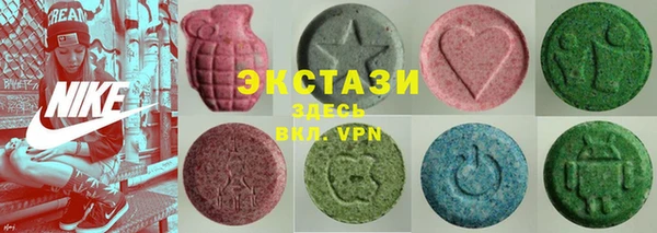 индика Покачи