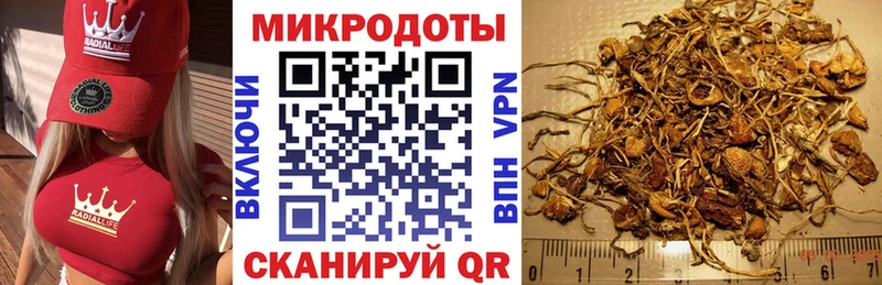 Псилоцибиновые грибы Magic Shrooms Дятьково